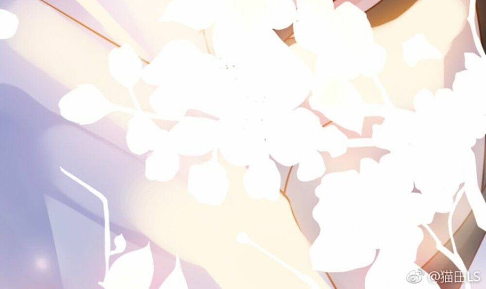 Cô Vợ Hợp Đồng Bỏ Trốn Của Tổng Giám Đốc Chap 45.5 - Next Chap 46.5