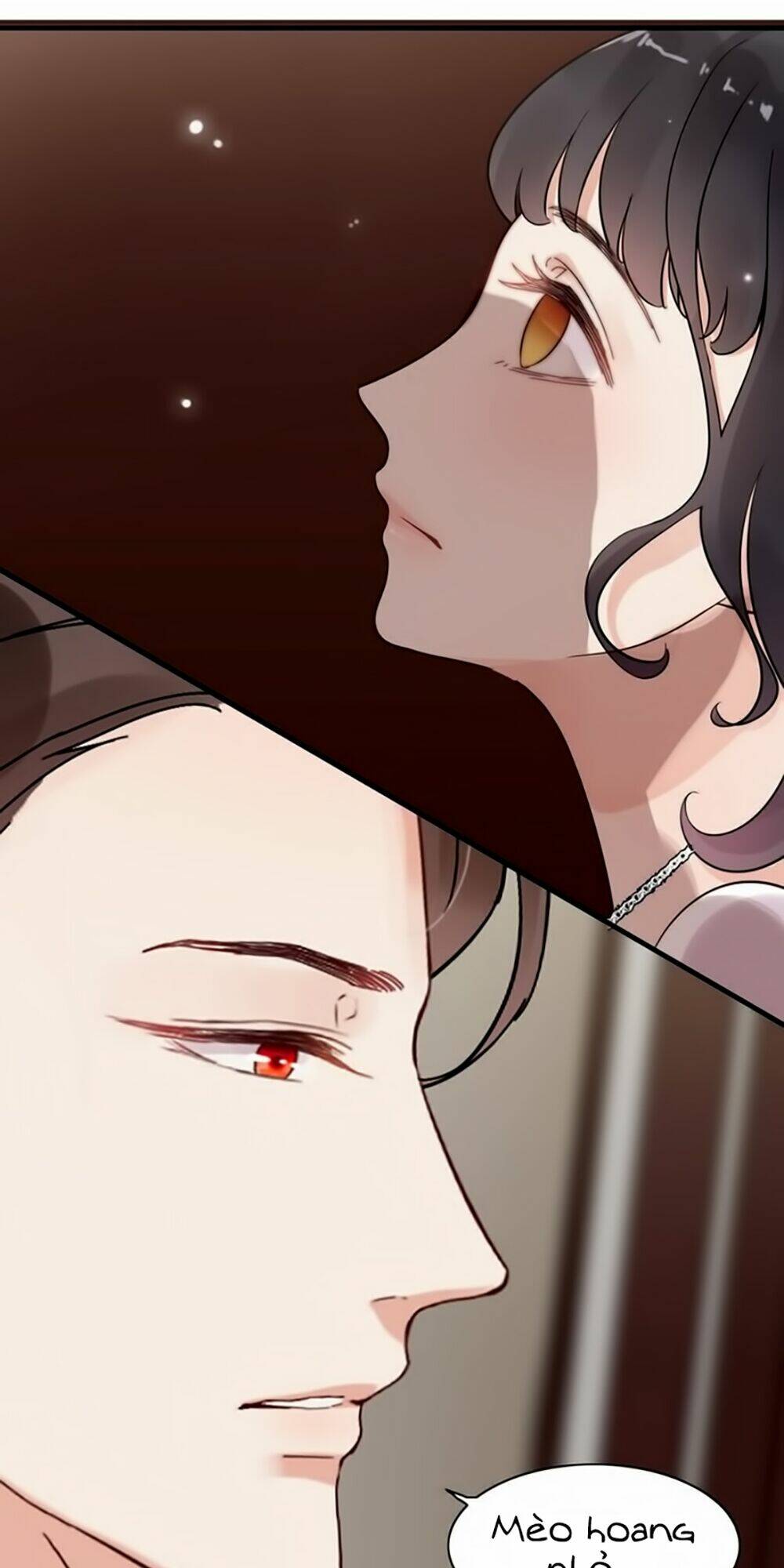 Cô Vợ Hợp Đồng Bỏ Trốn Của Tổng Giám Đốc Chap 46 - Next Chap 47