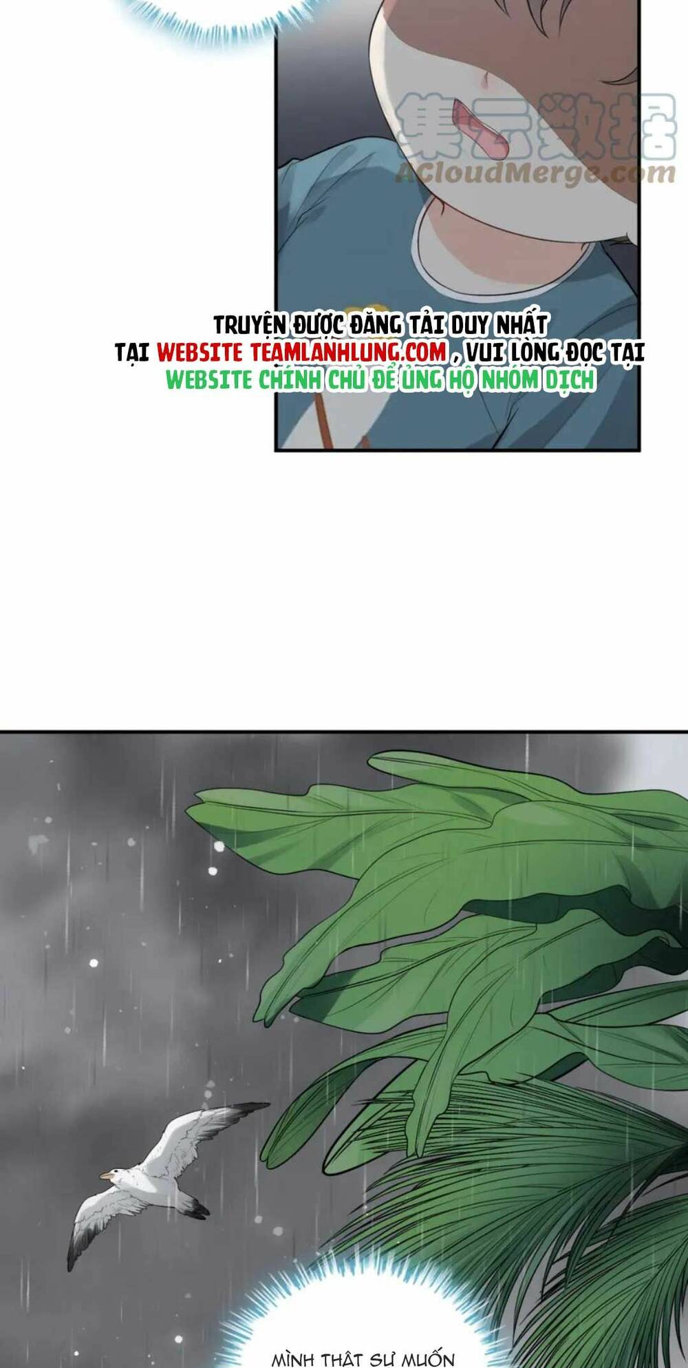 Cô Vợ Hợp Đồng Bỏ Trốn Của Tổng Giám Đốc Chap 470 - Next Chap 471