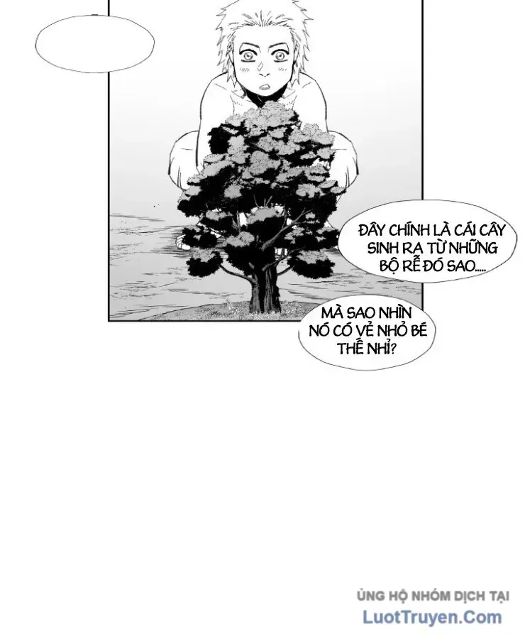 Cơn Bão Đỏ Chap 364 - Next Chap 365