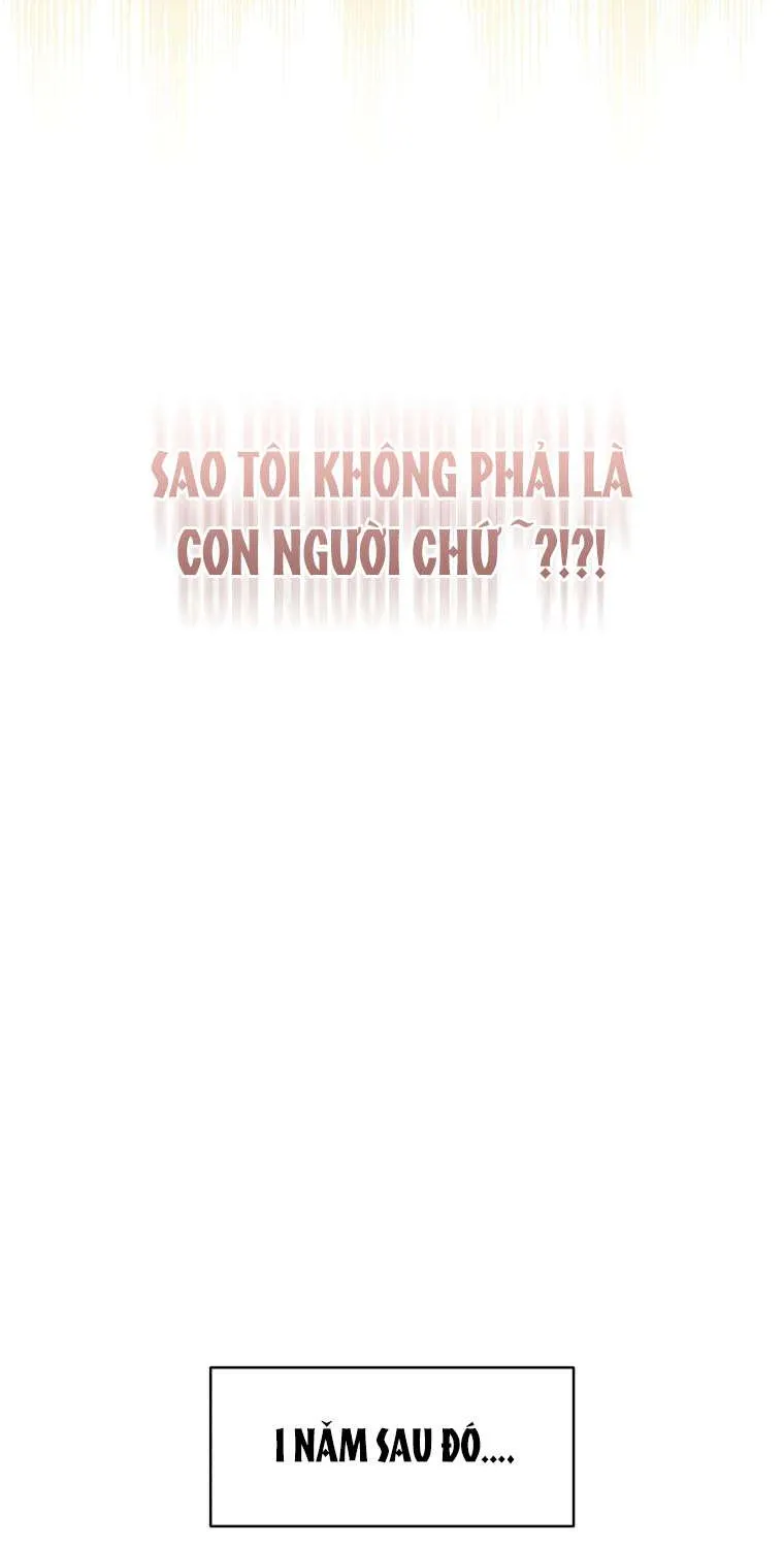 Con dâu của kẻ phản diện là một người có quyền lực Chap 0 - Next Chap 1