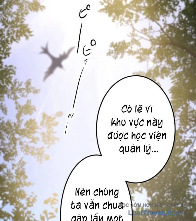 Con Đường Ma Pháp Của Kiếm Thánh Trọng Sinh Chap 12 - Next Chap 13