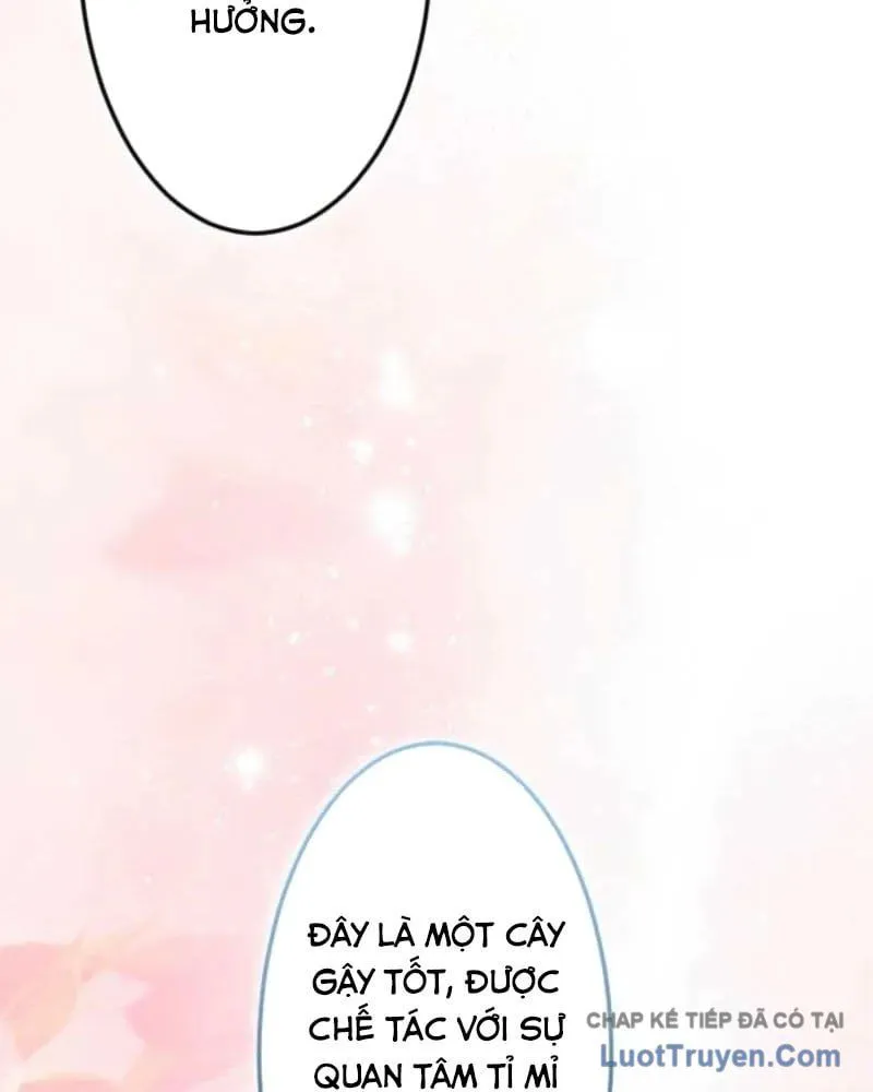 Con Đường Ma Pháp Của Kiếm Thánh Trọng Sinh Chap 17 - Next Chap 18