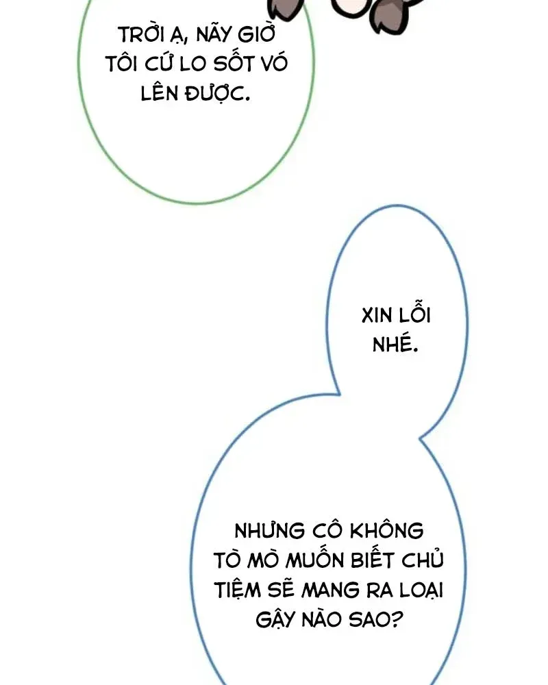 Con Đường Ma Pháp Của Kiếm Thánh Trọng Sinh Chap 17 - Next Chap 18