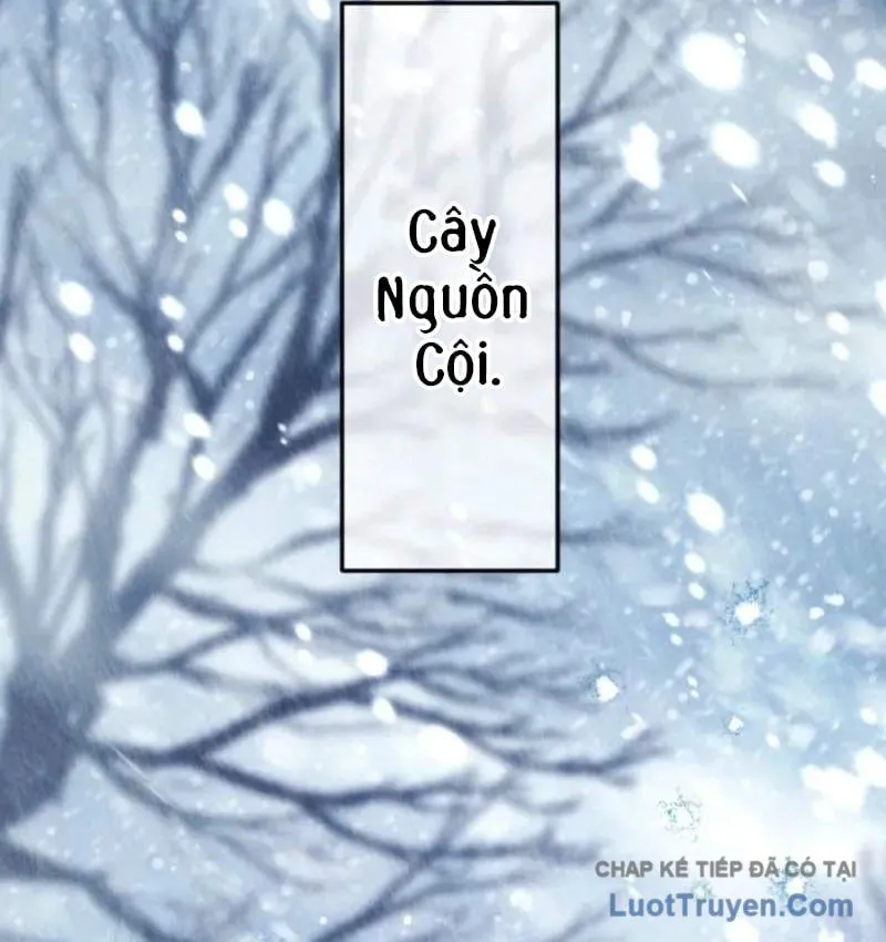 Con Đường Ma Pháp Của Kiếm Thánh Trọng Sinh Chap 18 - Next Chap 19