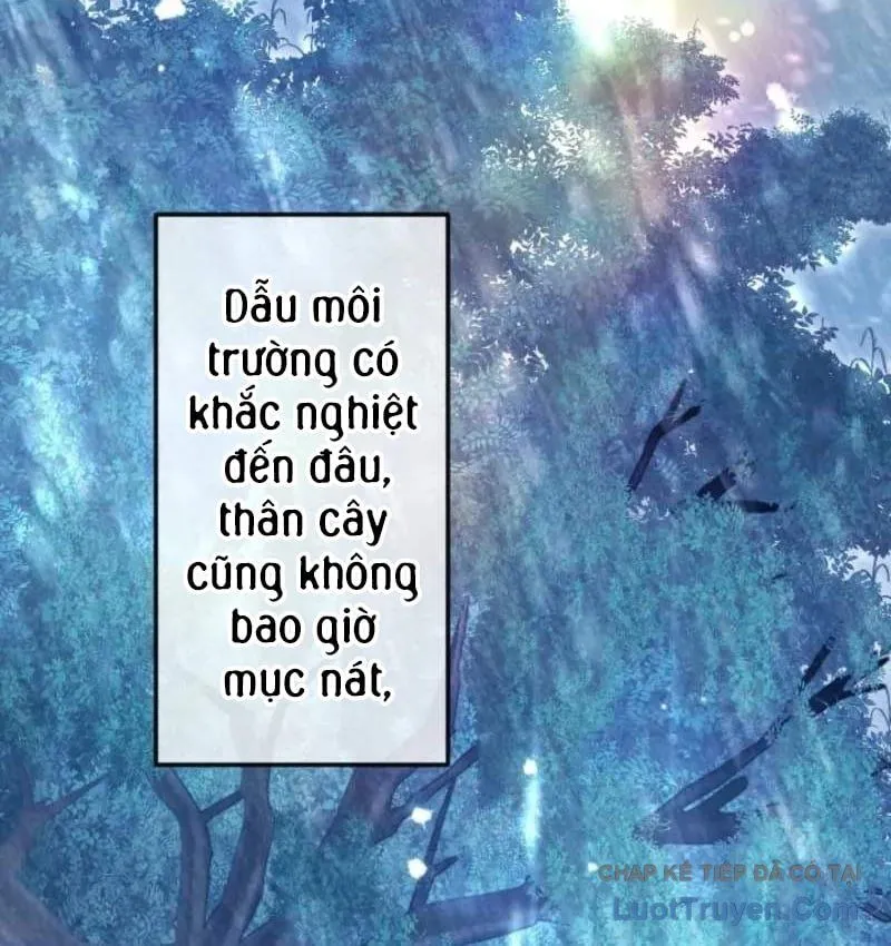Con Đường Ma Pháp Của Kiếm Thánh Trọng Sinh Chap 18 - Next Chap 19