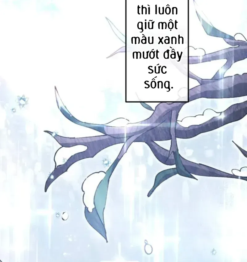 Con Đường Ma Pháp Của Kiếm Thánh Trọng Sinh Chap 18 - Next Chap 19