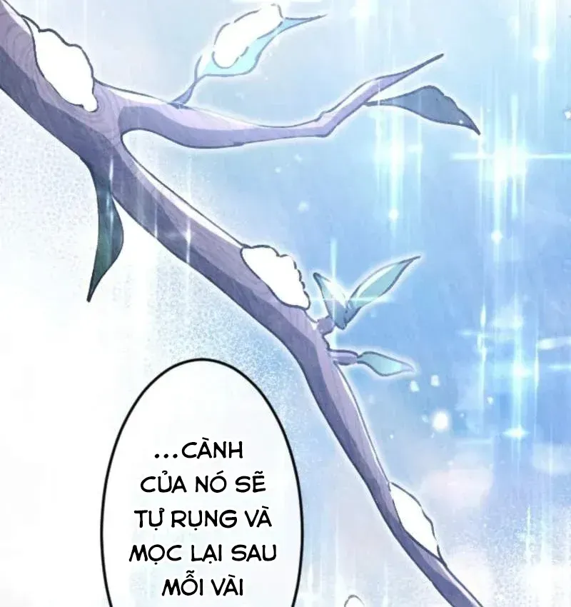 Con Đường Ma Pháp Của Kiếm Thánh Trọng Sinh Chap 18 - Next Chap 19