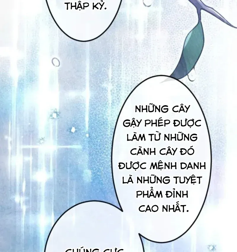 Con Đường Ma Pháp Của Kiếm Thánh Trọng Sinh Chap 18 - Next Chap 19