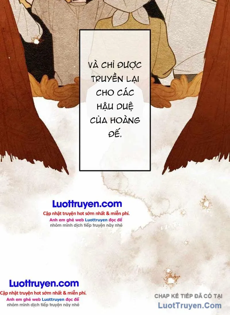 Con Đường Ma Pháp Của Kiếm Thánh Trọng Sinh Chap 25 - Next Chap 26