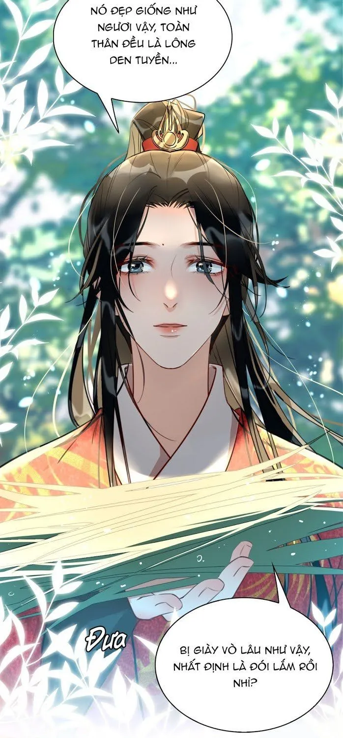 Cơn Mưa Quên Lối Về Chap 15 - Next Chap 16