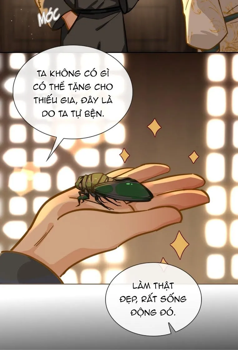 Cơn Mưa Quên Lối Về Chap 24.1 - Next Chap 25.1