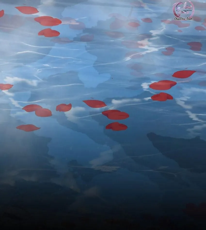 Cơn Mưa Quên Lối Về Chap 67 - Next Chap 68
