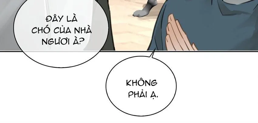 Cơn Mưa Quên Lối Về Chap 77 - Next Chap 78