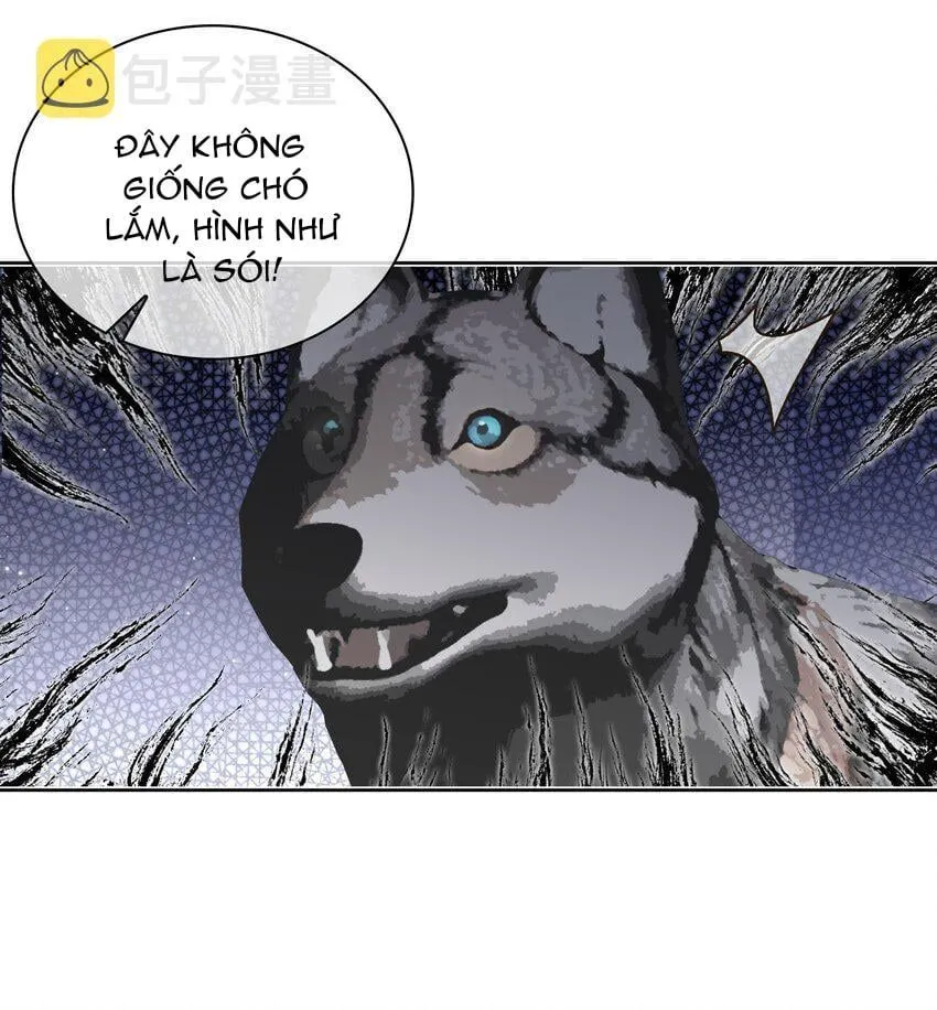 Cơn Mưa Quên Lối Về Chap 77 - Next Chap 78