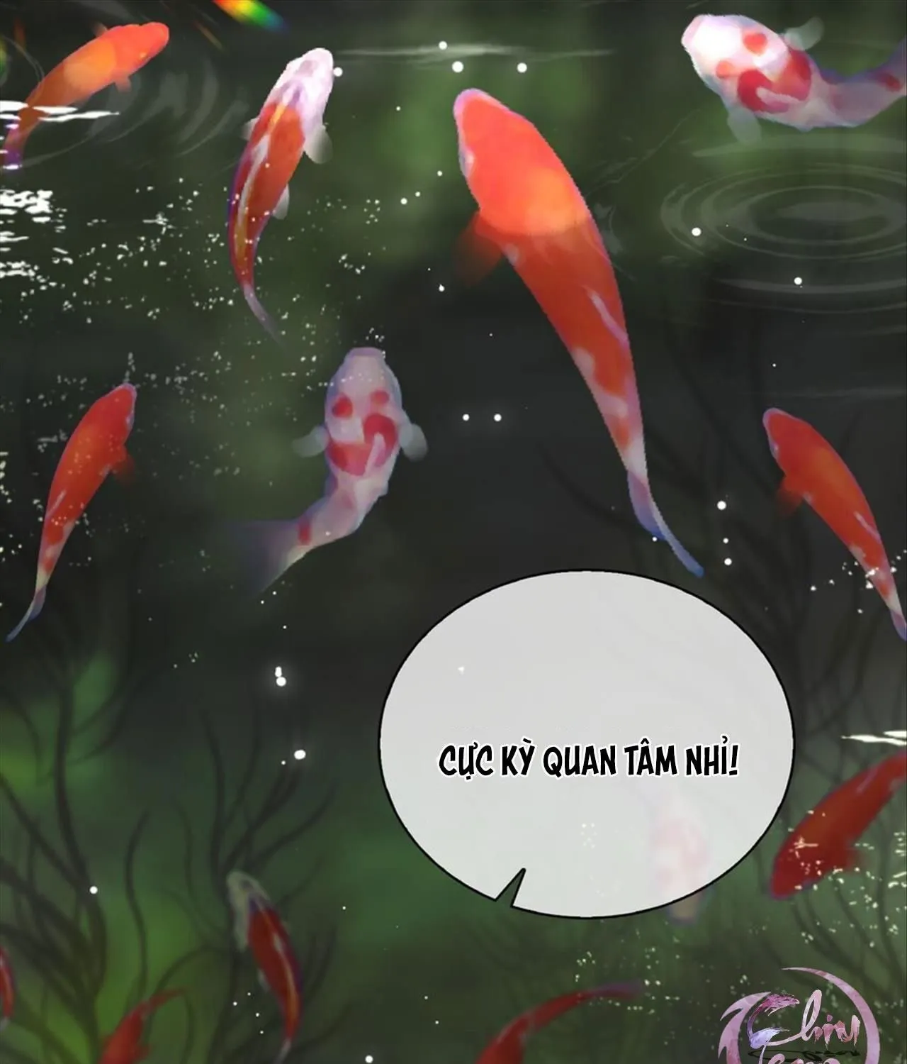 Cơn Mưa Quên Lối Về Chap 78 - Next Chap 79