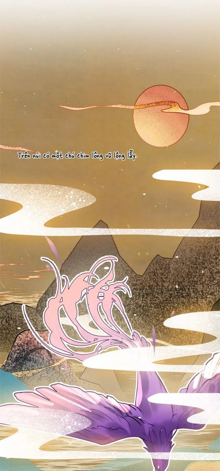 Cơn Mưa Quên Lối Về Chap 8 - Next Chap 9