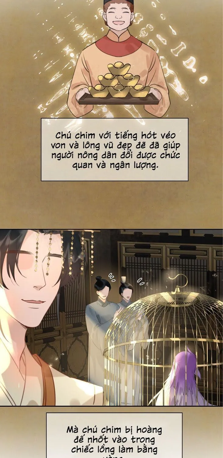 Cơn Mưa Quên Lối Về Chap 8 - Next Chap 9