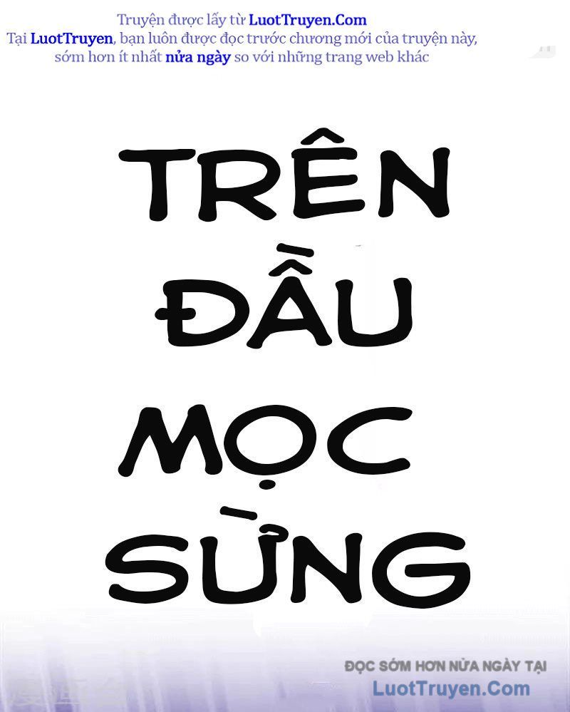 Con Rể Của Các Vị Thần Chap 2 - Next Chap 3