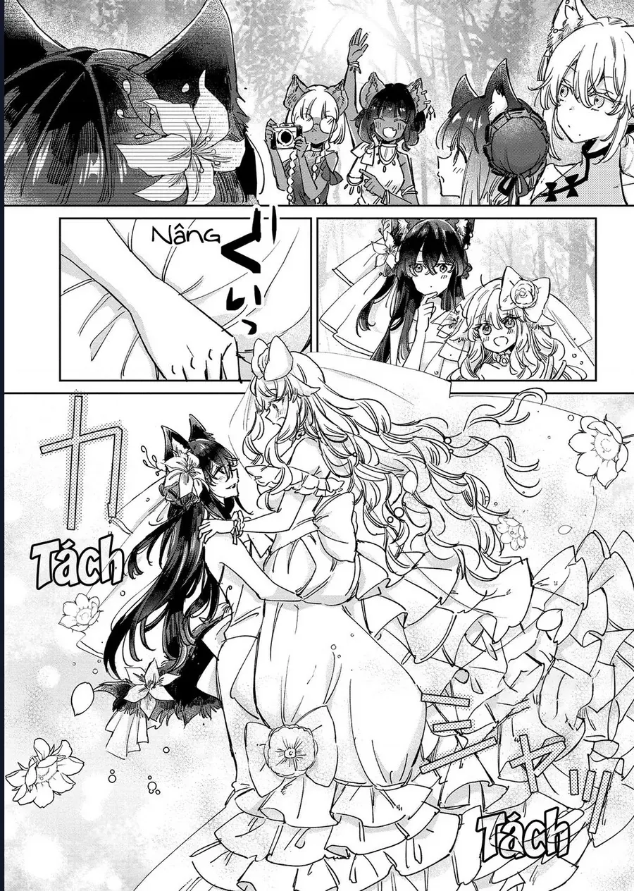 Công Chúa Cừu Trong Lốt Sói Chap 27 - Next Chap 28