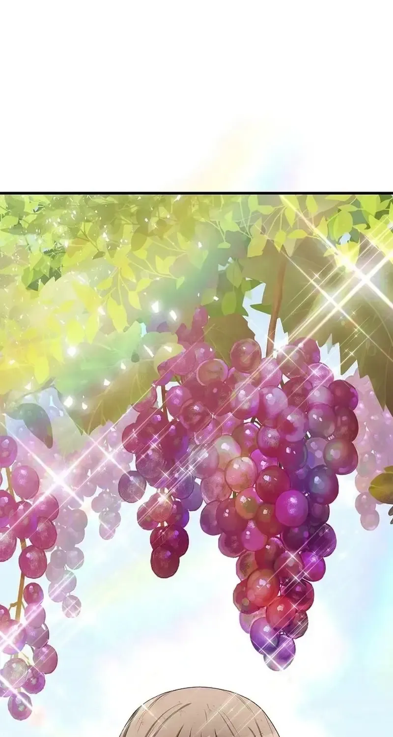 Công Thức Của Đấng Cứu Rỗi Chap 8 - Next Chap 9