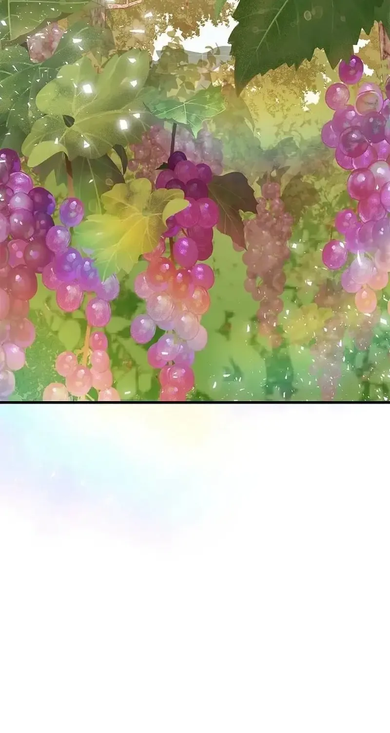 Công Thức Của Đấng Cứu Rỗi Chap 8 - Next Chap 9