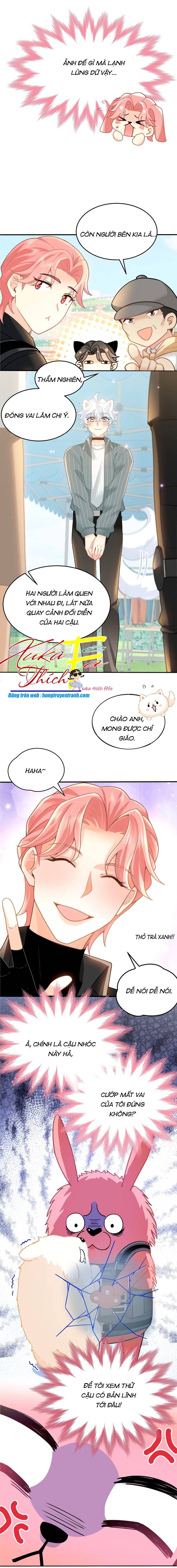 Crush của tôi là mèo Chap 4 - Next Chap 5