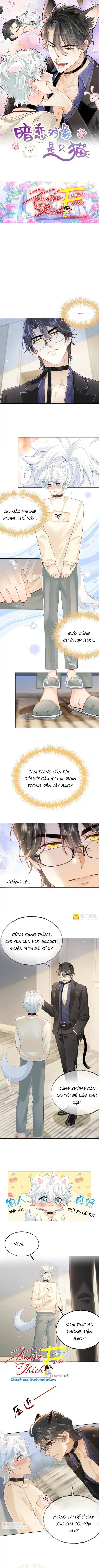 Crush của tôi là mèo Chap 7 - Next Chap 8