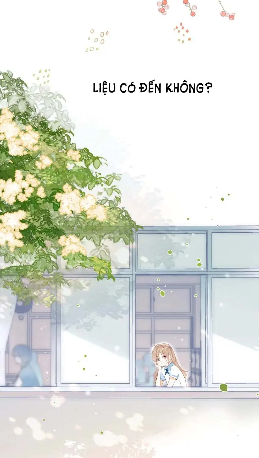 Crush không biết tôi thích anh ấy Chap 4 - Next Chap 5