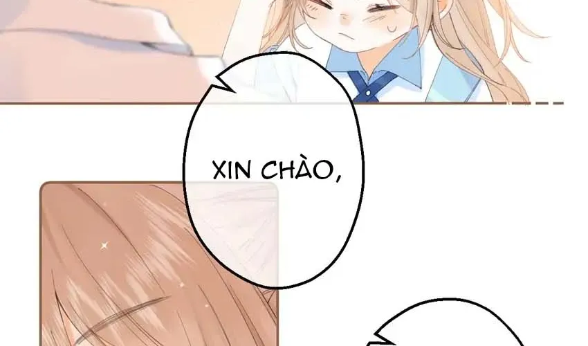 Crush không biết tôi thích anh ấy Chap 4 - Next Chap 5