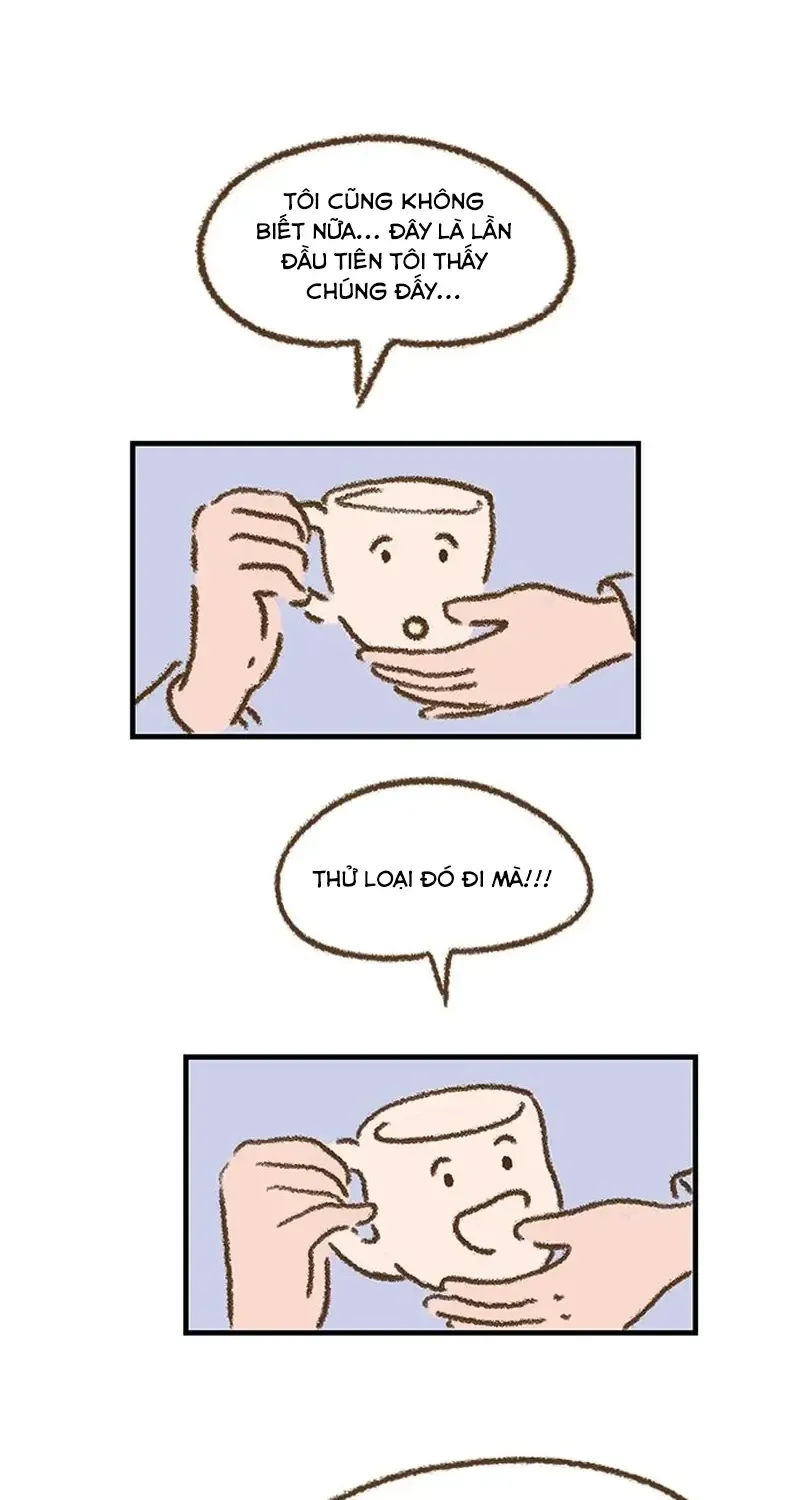 Cửa Hàng Nơi Ký Ức Tìm Đến Chap 3 - Next Chap 4