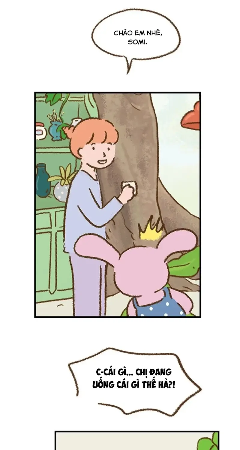 Cửa Hàng Nơi Ký Ức Tìm Đến Chap 3 - Next Chap 4