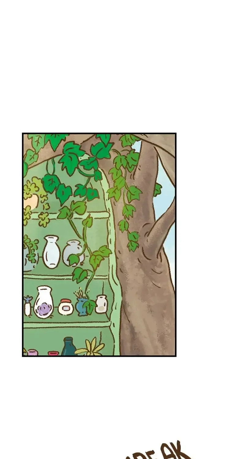 Cửa Hàng Nơi Ký Ức Tìm Đến Chap 4 - Next Chap 5