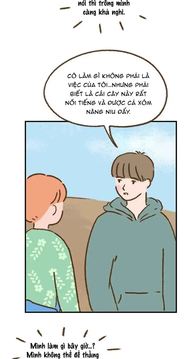 Cửa Hàng Nơi Ký Ức Tìm Đến Chap 7 - Next Chap 8