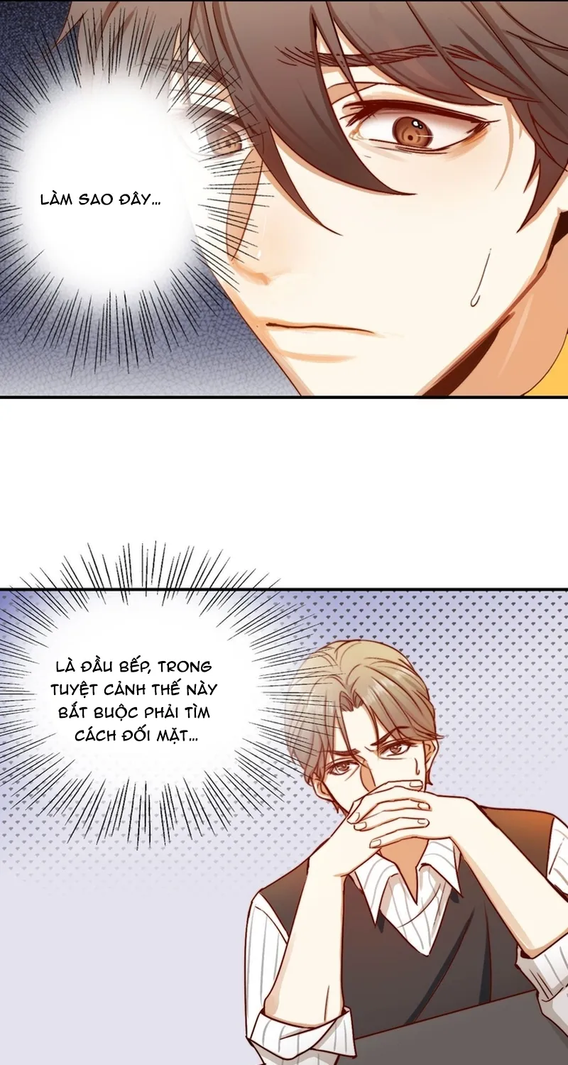 Cuộc Chiến Phía Sau Nhà Bếp Chap 84 - Next Chap 85