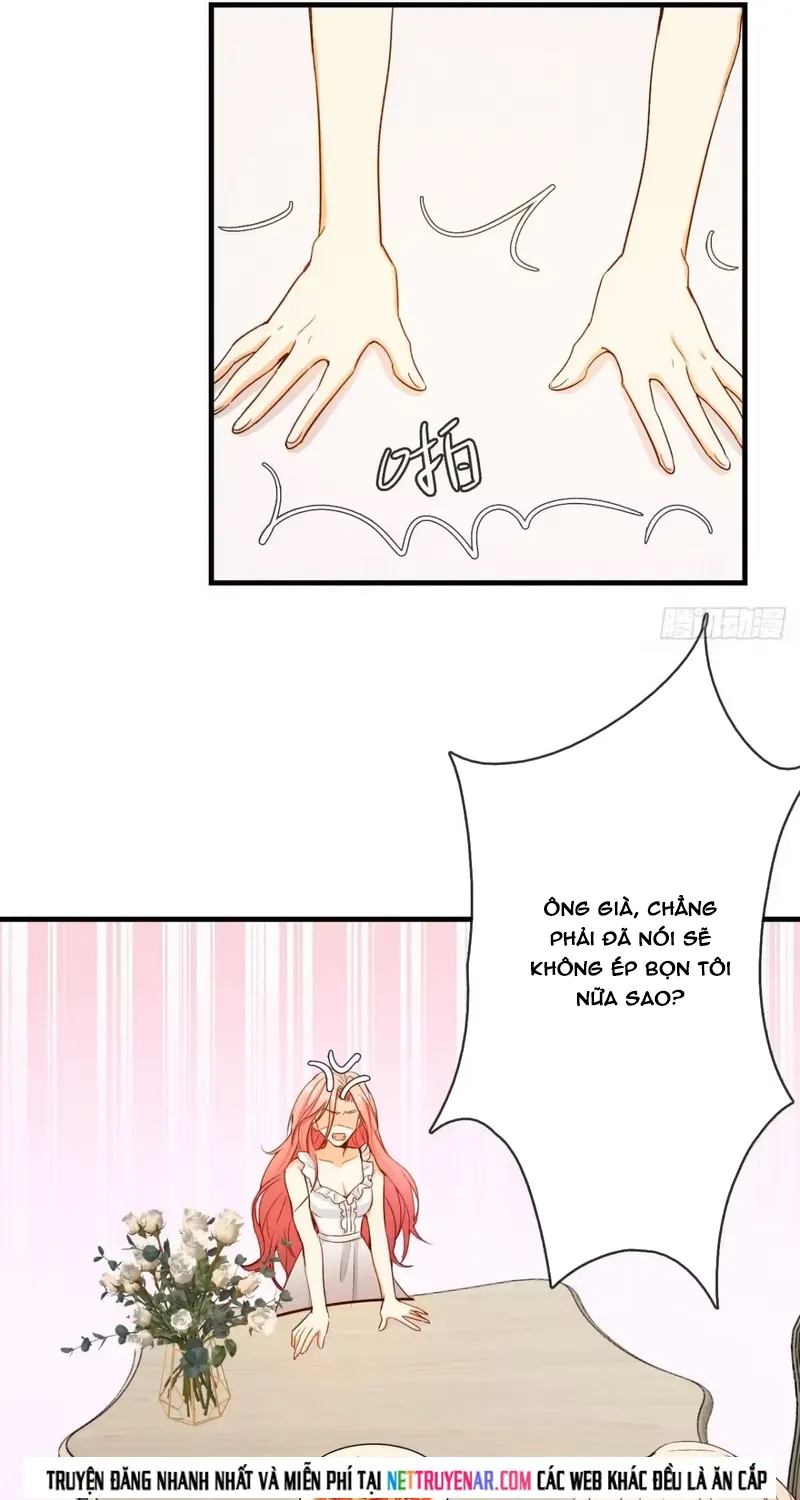 Cuộc Chiến Phía Sau Nhà Bếp Chap 85 - Next Chap 86