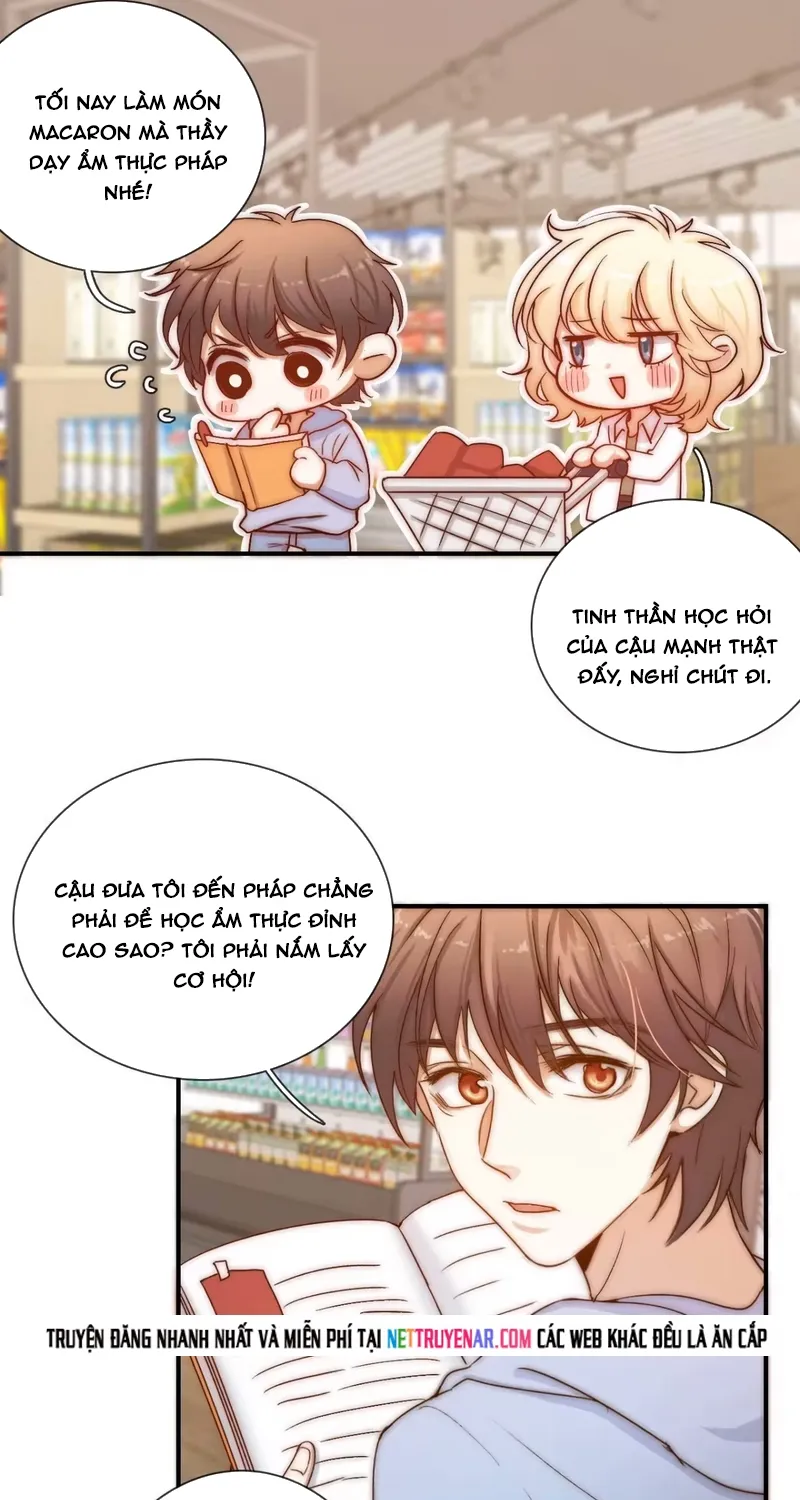 Cuộc Chiến Phía Sau Nhà Bếp Chap 85 - Next Chap 86