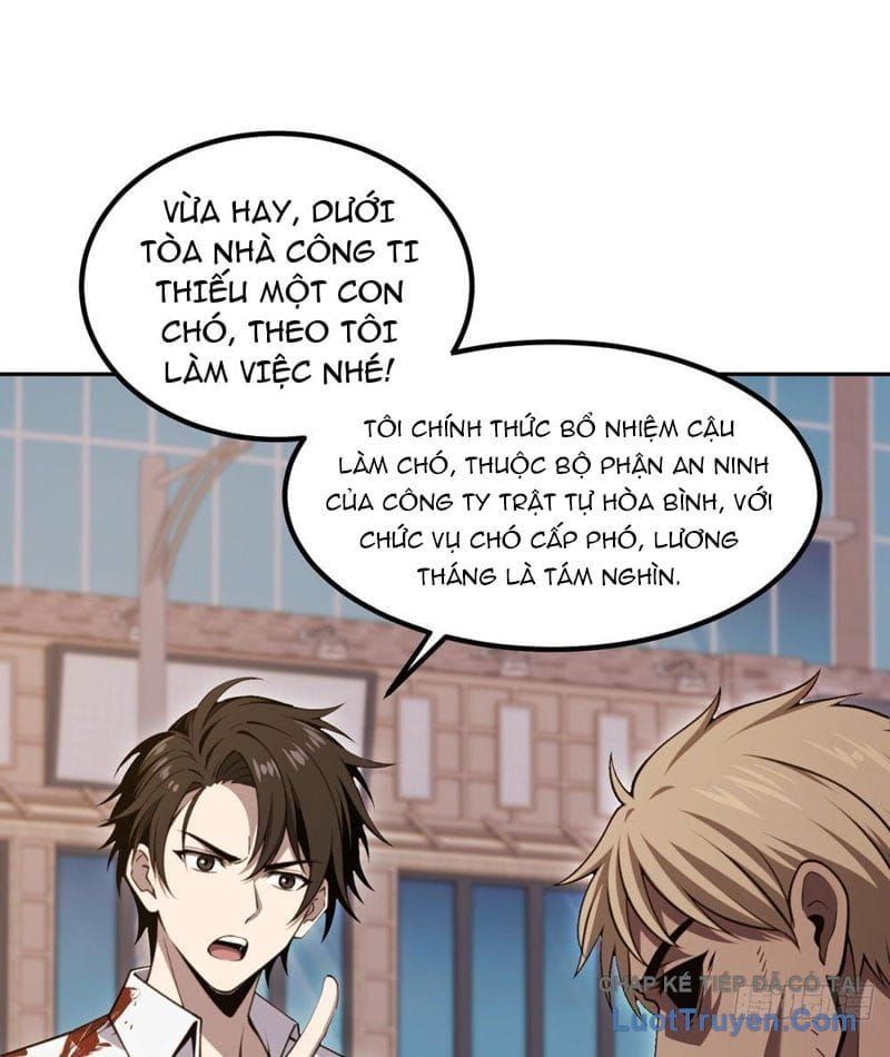 Cuộc Đời Mạt Thế Hoàn Mỹ Của Tôi Chap 20 - Next Chap 21