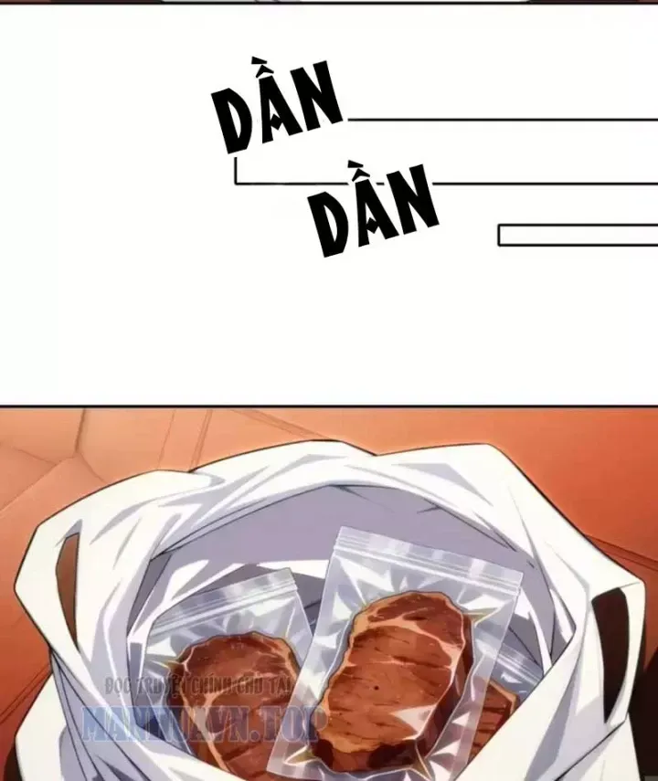 Cuộc Đời Mạt Thế Hoàn Mỹ Của Tôi Chap 43 - Next Chap 44