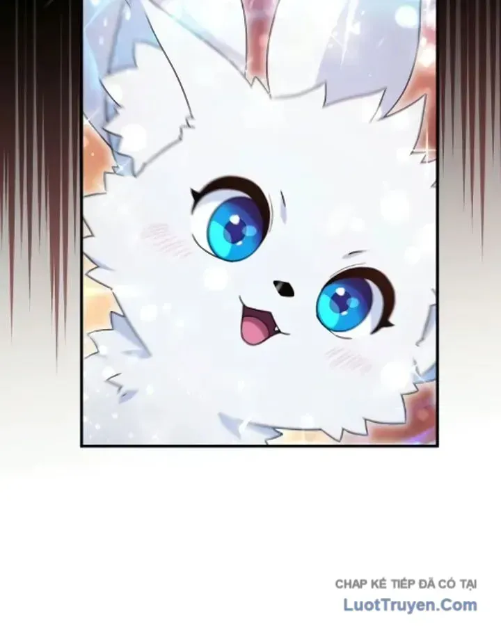 Cuộc Đời Mới Của Cường Giả Chap 12 - Next Chap 13