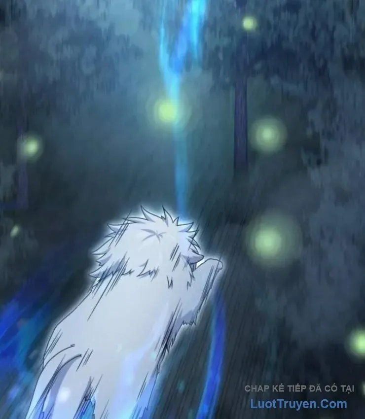Cuộc Đời Mới Của Cường Giả Chap 14 - Next Chap 15