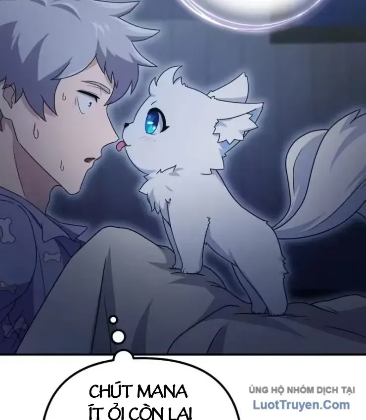 Cuộc Đời Mới Của Cường Giả Chap 15 - Next Chap 16