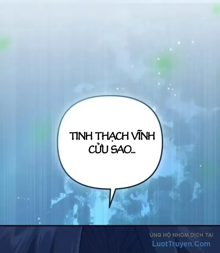 Cuộc Đời Mới Của Cường Giả Chap 15 - Next Chap 16