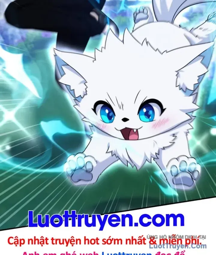 Cuộc Đời Mới Của Cường Giả Chap 16 - Next Chap 17