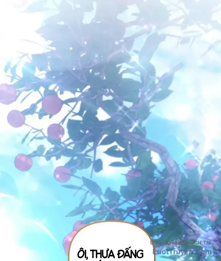 Cuộc Đời Mới Của Cường Giả Chap 16 - Next Chap 17