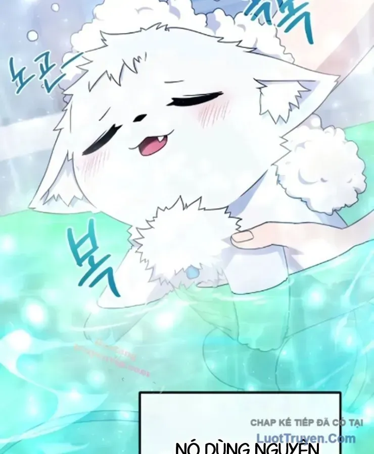 Cuộc Đời Mới Của Cường Giả Chap 7 - Next Chap 8