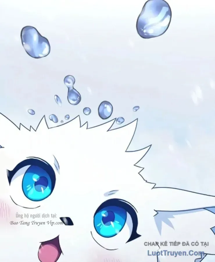 Cuộc Đời Mới Của Cường Giả Chap 8 - Next Chap 9