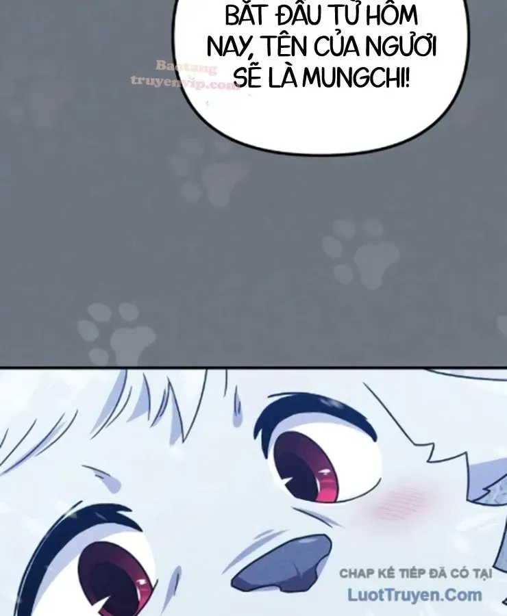 Cuộc Đời Mới Của Cường Giả Chap 8 - Next Chap 9