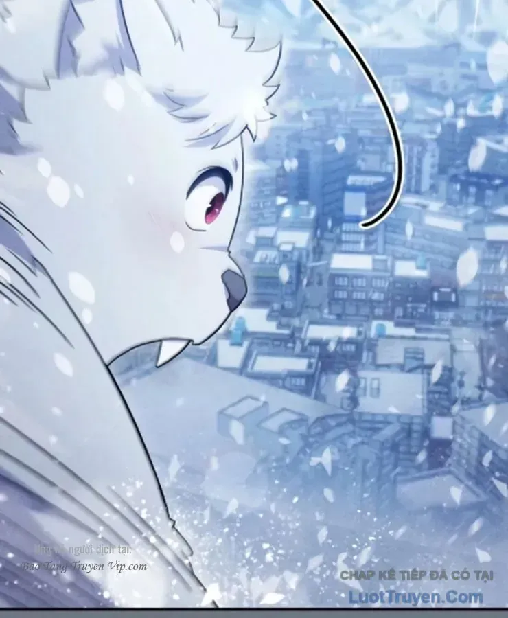 Cuộc Đời Mới Của Cường Giả Chap 8 - Next Chap 9