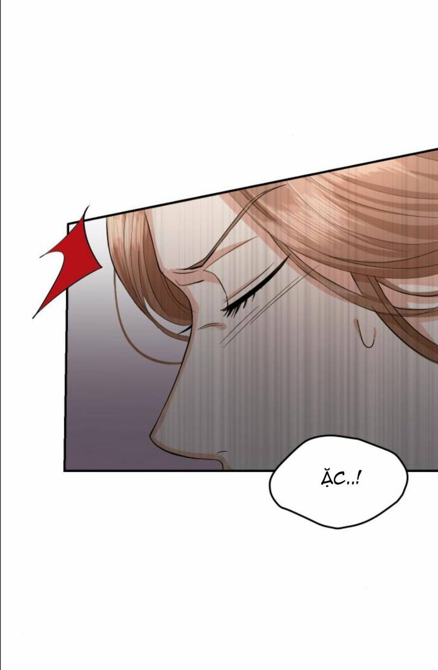 Cuộc Hôn Nhân Hoàn Hảo Chap 11.2 - Next Chap 12.2